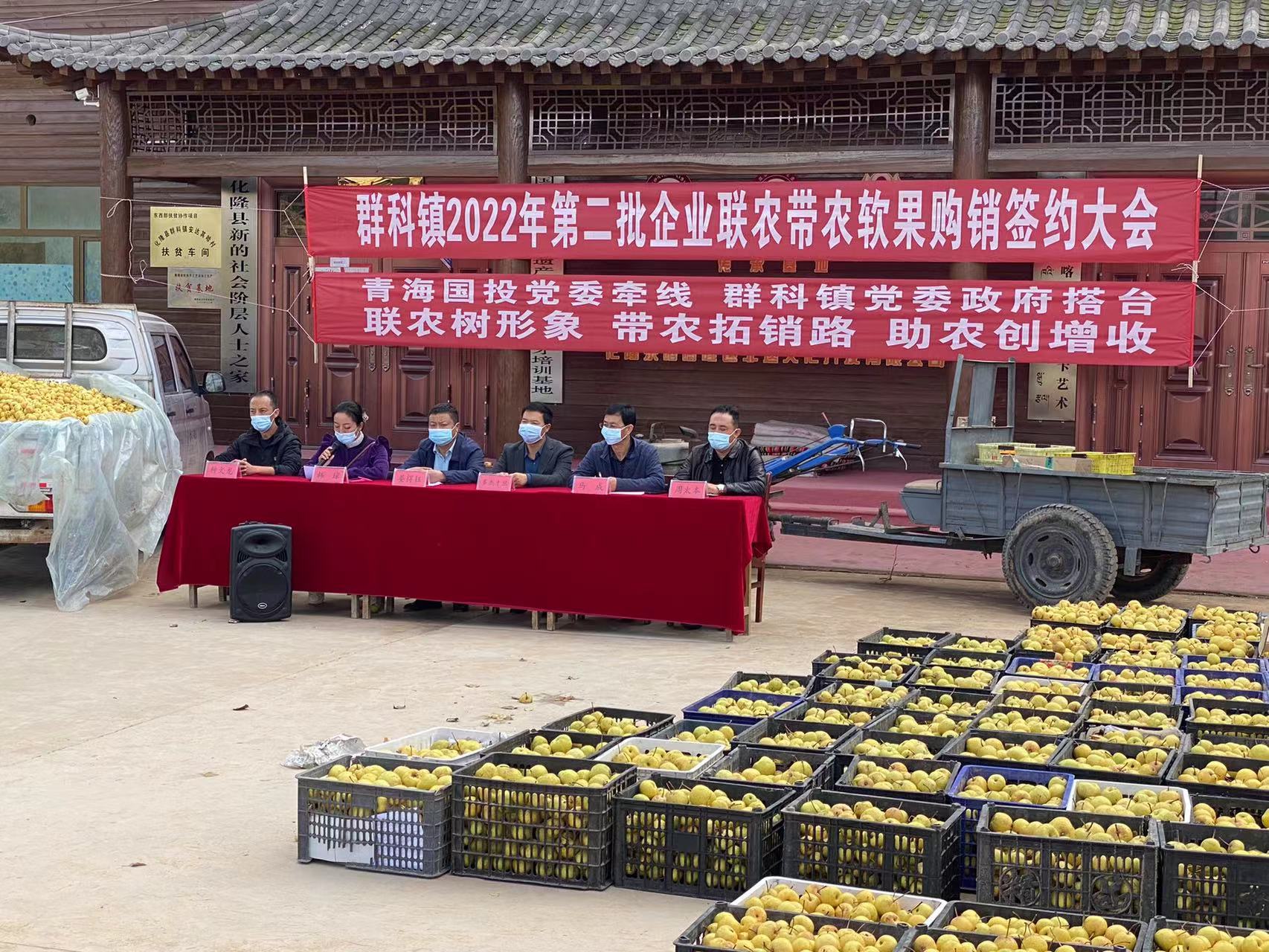爱游戏官网注册驻乙沙二村工作队积极帮助解决农产品滞销